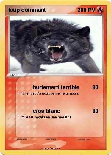 Pokemon loup dominant