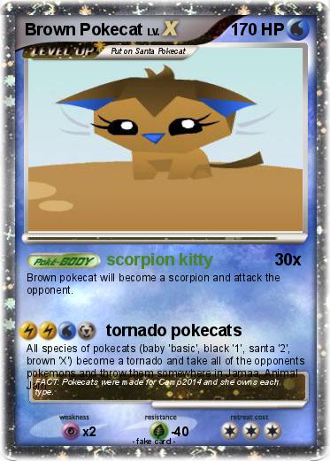 Pokemon Brown Pokecat
