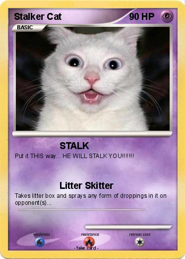 Pokemon Stalker Cat