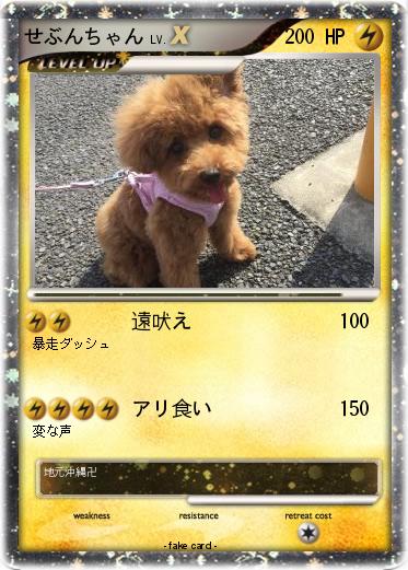 Pokemon せぶんちゃん