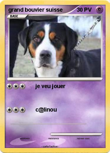 Pokemon grand bouvier suisse