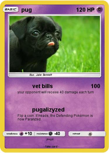 Pokemon pug