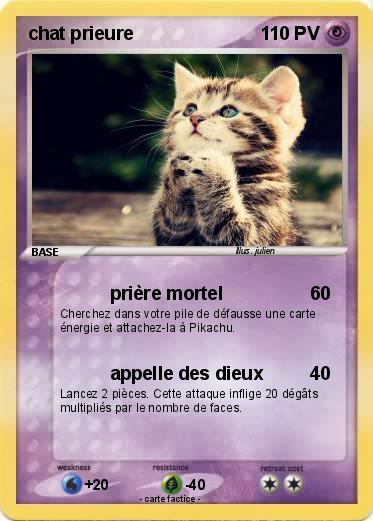 Pokemon chat prieure