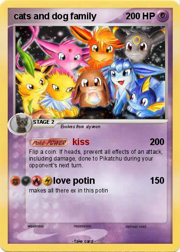 Pokemon cats and dog family