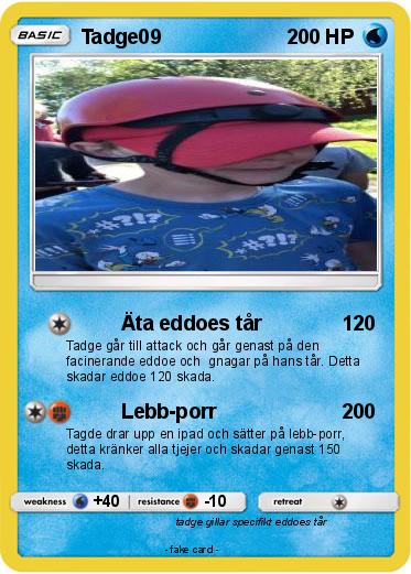 Pokemon Tadge09