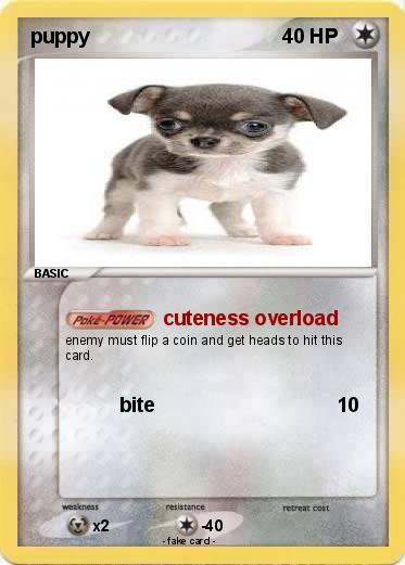 Pokemon puppy