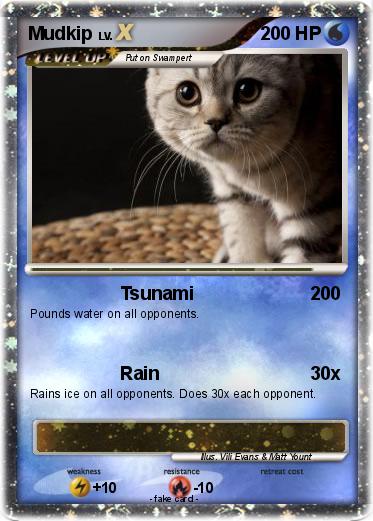 Pokemon Mudkip