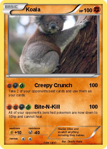Pokemon Koala