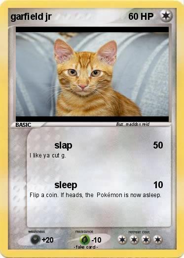 Pokemon garfield jr