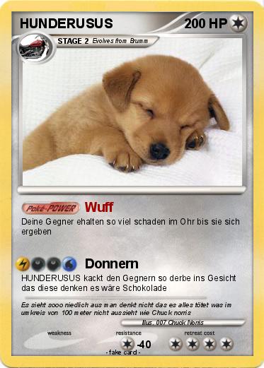 Pokemon HUNDERUSUS