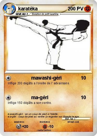 Pokemon karatéka