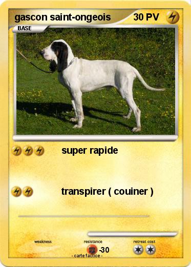 Pokemon gascon saint-ongeois
