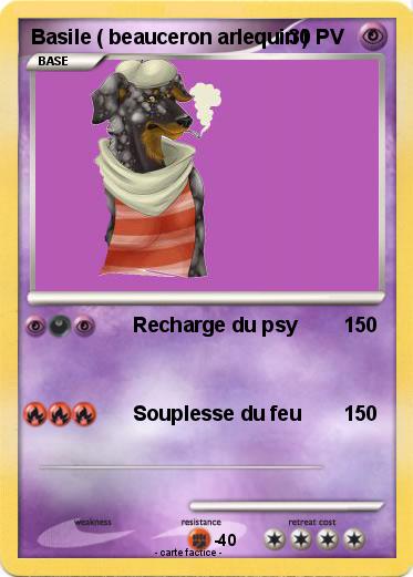 Pokemon Basile ( beauceron arlequin )