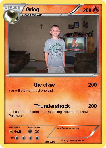 Pokemon Gdog