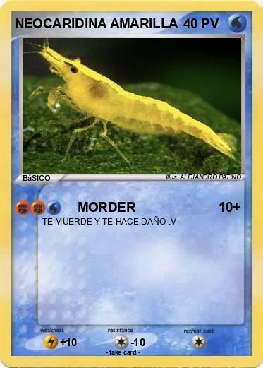 Pokemon NEOCARIDINA AMARILLA