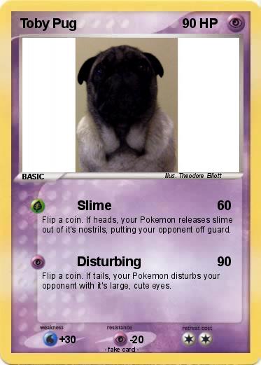 Pokemon Toby Pug