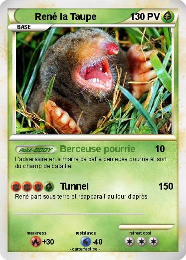 Pokemon René la Taupe