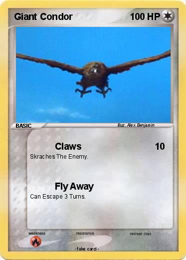 Pokemon Giant Condor