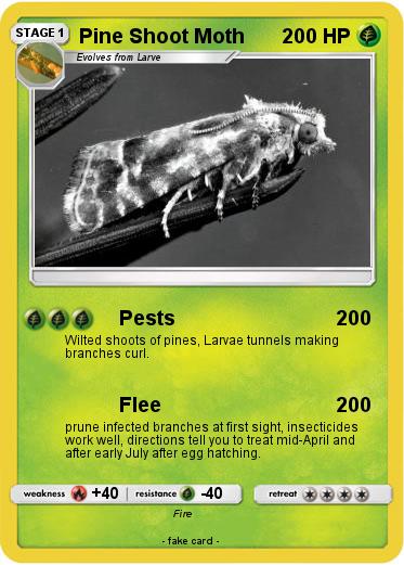 Pokemon Pine Shoot Moth