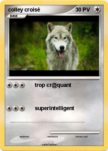 Pokemon colley croisé