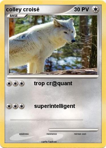 Pokemon colley croisé