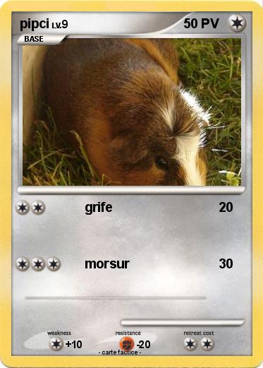Pokemon pipci