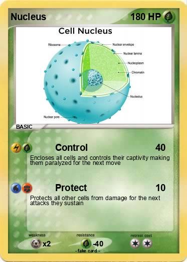 Pokemon Nucleus