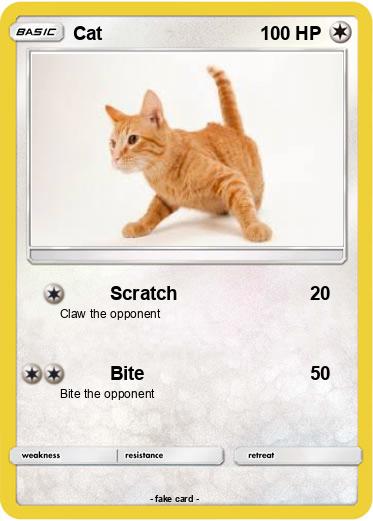 Pokemon Cat