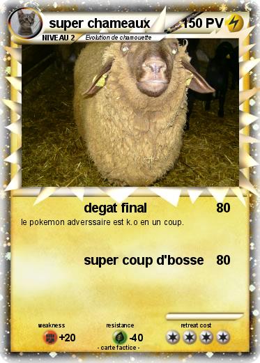 Pokemon super chameaux