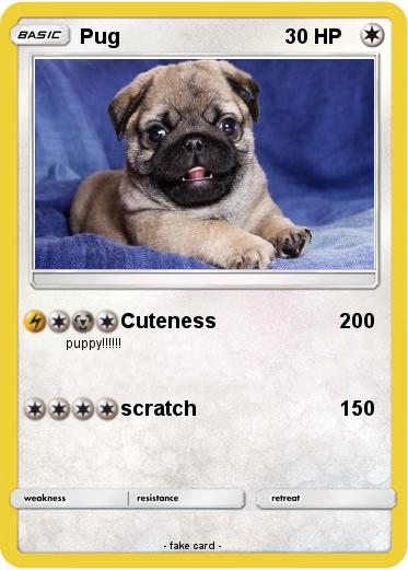 Pokemon Pug