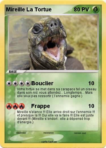 Pokemon Mireille La Tortue