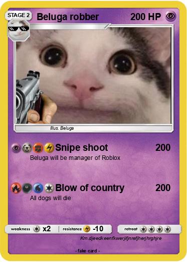 Pokemon Beluga robber