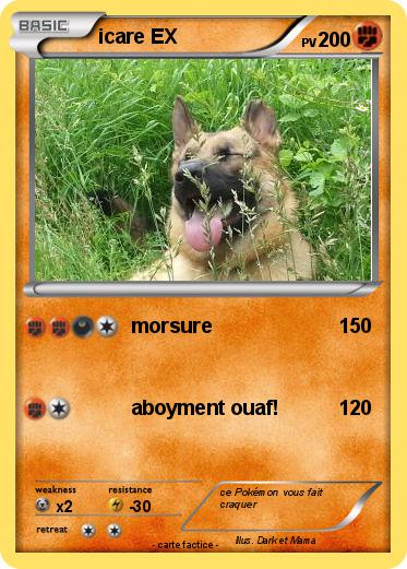 Pokemon icare EX