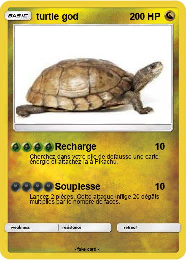Pokemon turtle god