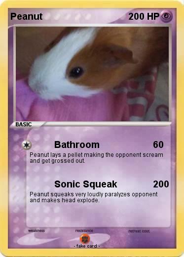 Pokemon Peanut
