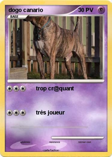 Pokemon dogo canario