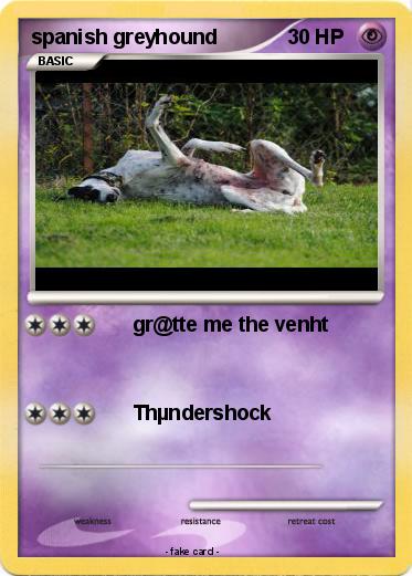Pokemon spanish greyhound
