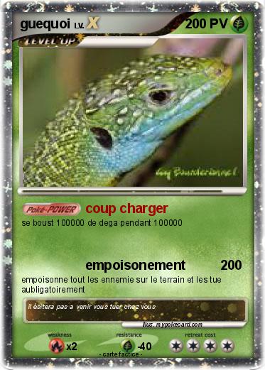 Pokemon guequoi