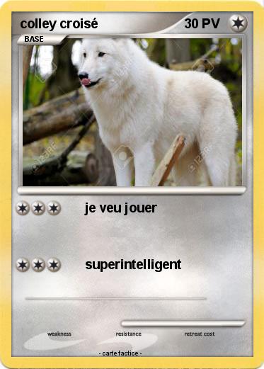 Pokemon colley croisé