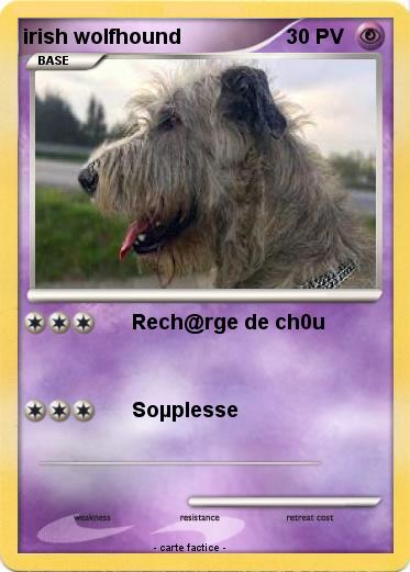 Pokemon irish wolfhound