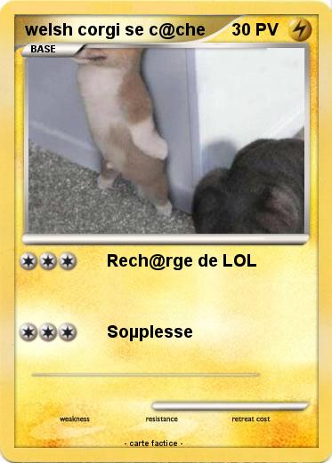Pokemon welsh corgi se c@che
