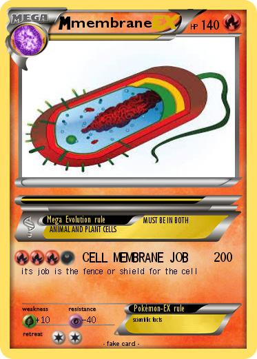 Pokemon membrane