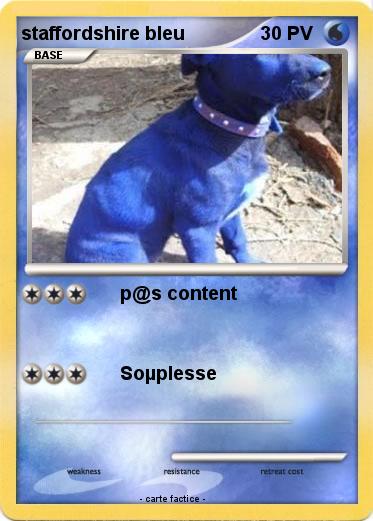 Pokemon staffordshire bleu