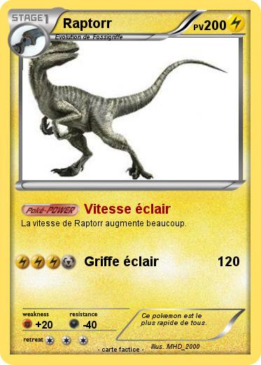 Pokemon Raptorr