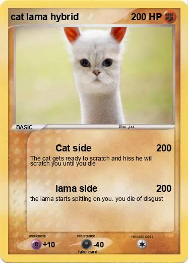 Pokemon cat lama hybrid