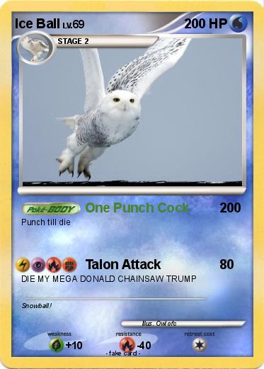 Pokemon Ice Ball