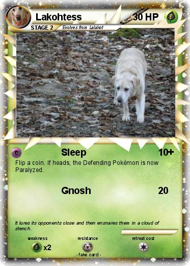 Pokemon Lakohtess