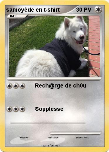 Pokemon samoyède en t-shirt