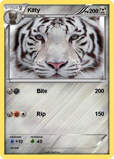 Pokemon Kitty