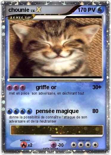 Pokemon chounie